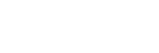 sodium101 logo